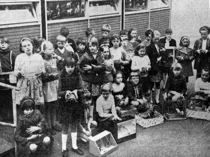 Pupils Arriving At Swinton Bridge Junior School On Tuesday With Their ...